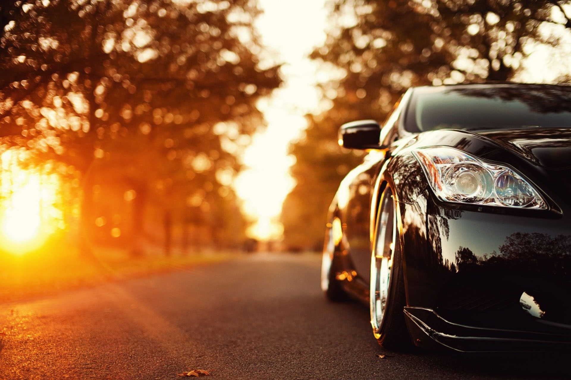 cruise