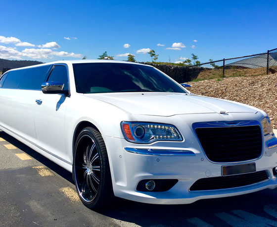cruise